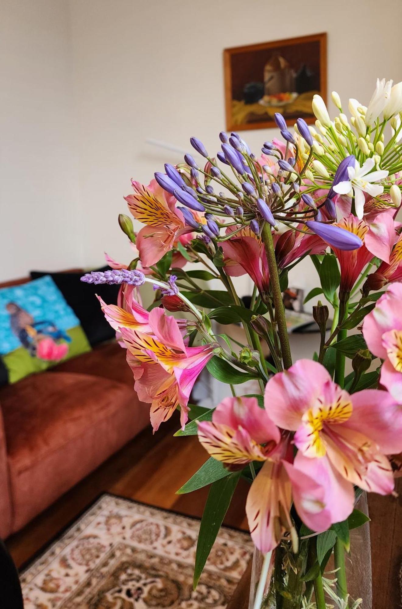 Central Garden Villa Whanganui Ngoại thất bức ảnh
